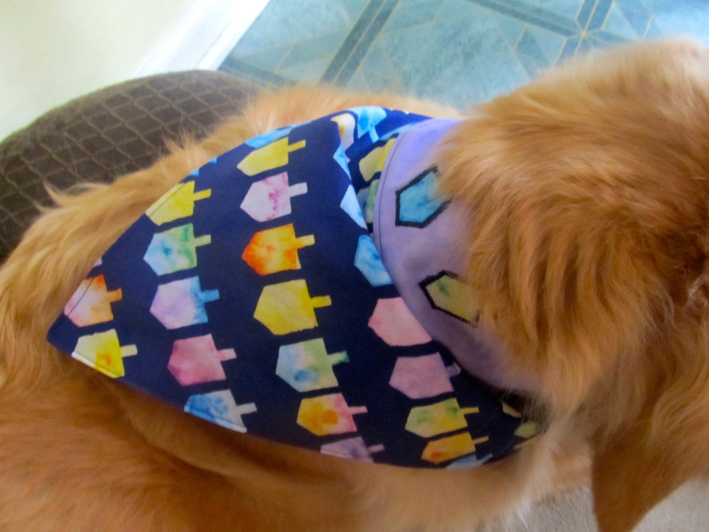 Chanukah Dreidel Dog Bandana