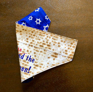 I found/ate the Afikomen!  Passover Dog Bandana Over the collar design